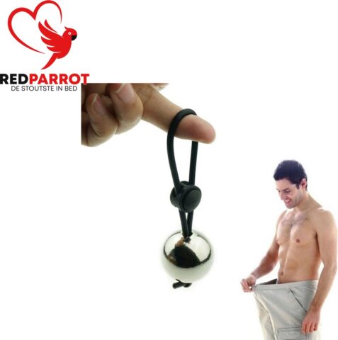 Balzakgewicht RVS 250 gram