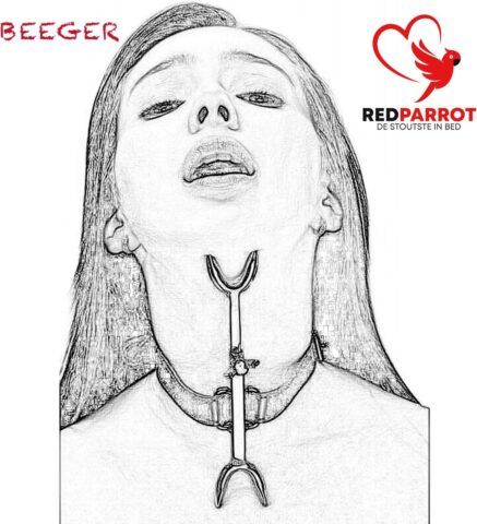 Leren BDSM halsband met RVS pinnen
