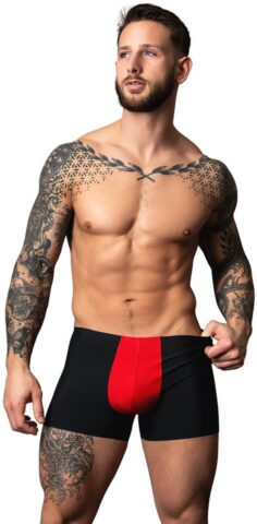 Male Power Hot Mesh pouch short zwart