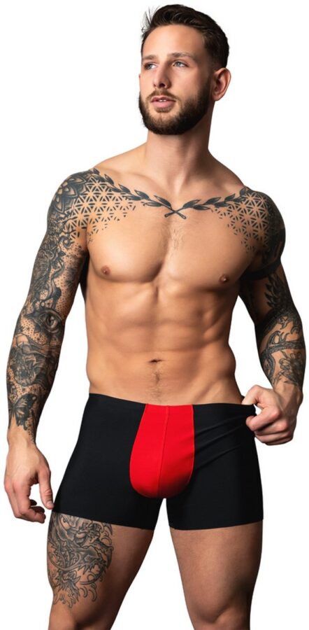 Male Power Hot Mesh pouch short zwart