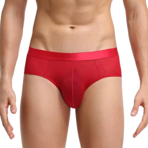 Transparante mesh herenslip rood